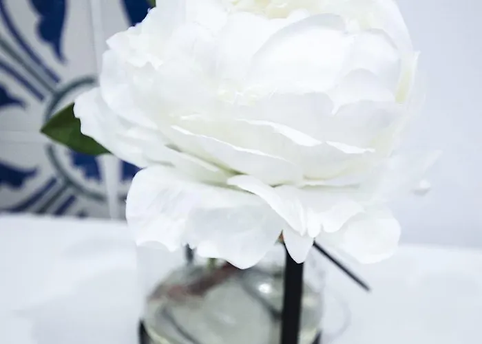 Fuente Torán * Teruel