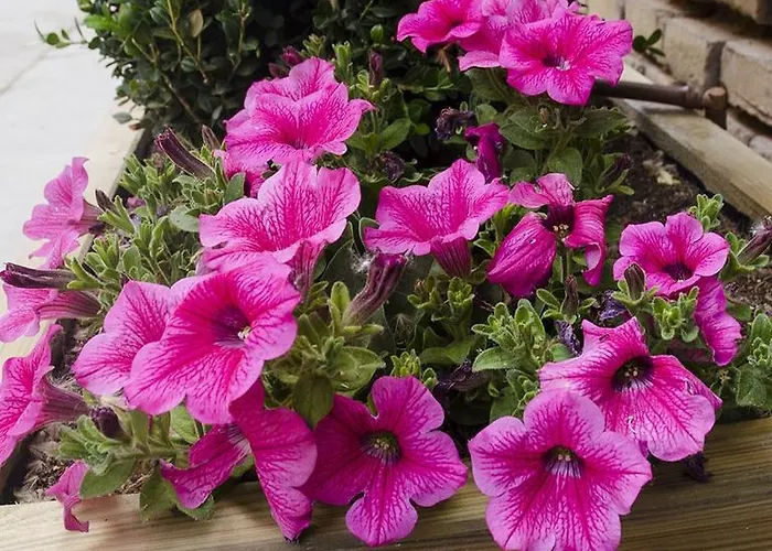 Fuente Torán Teruel